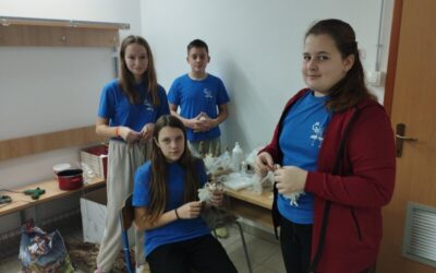 Božićne radionice Učeničke zadruge „Roda“